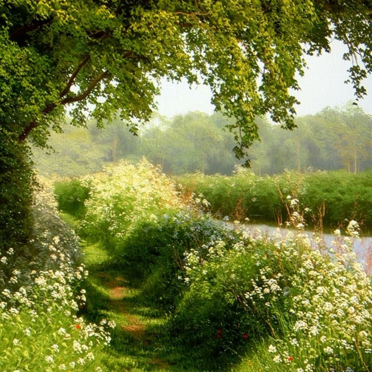 Красивые летние пейзажи