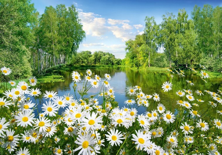 Красивые летние пейзажи