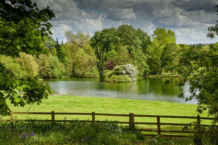 Англия природа пруды