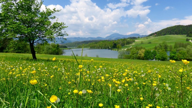 Палусские Луга