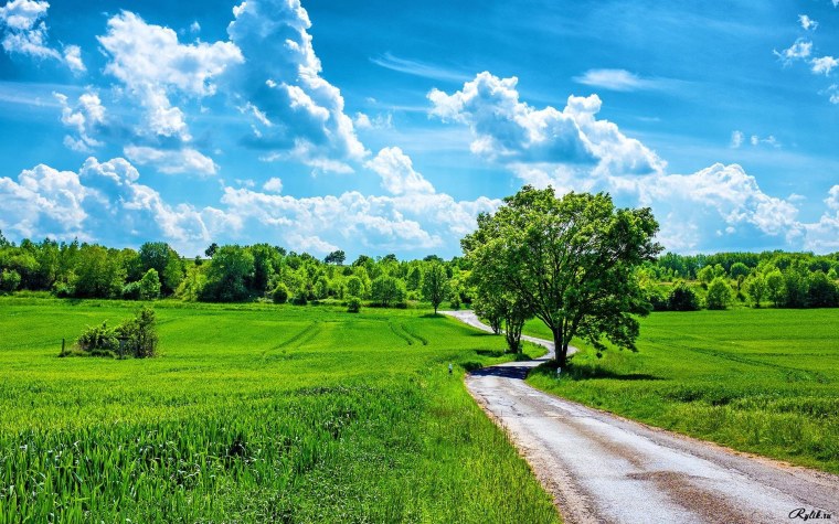 Красивые летние пейзажи