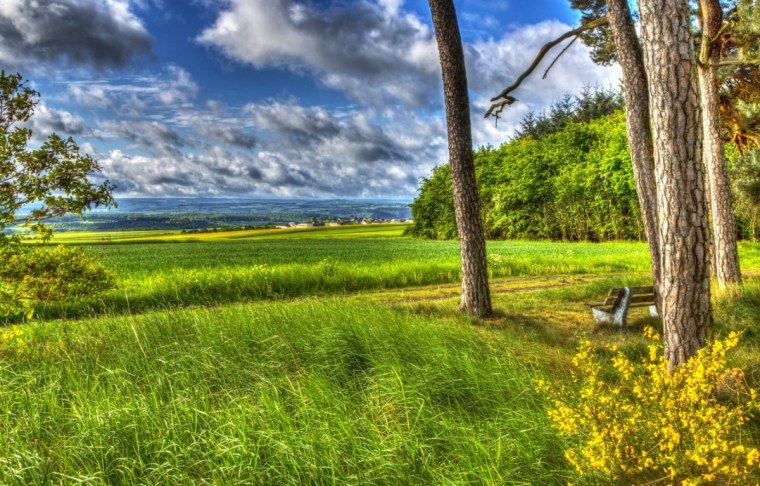 Летний пейзаж