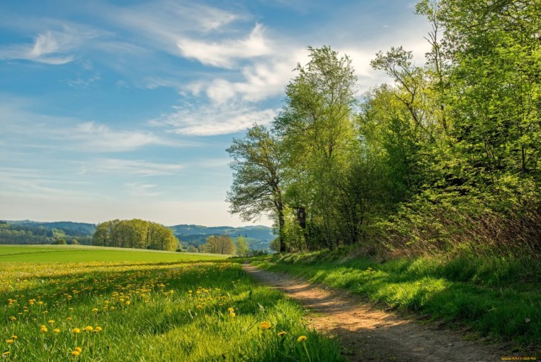 Летний пейзаж