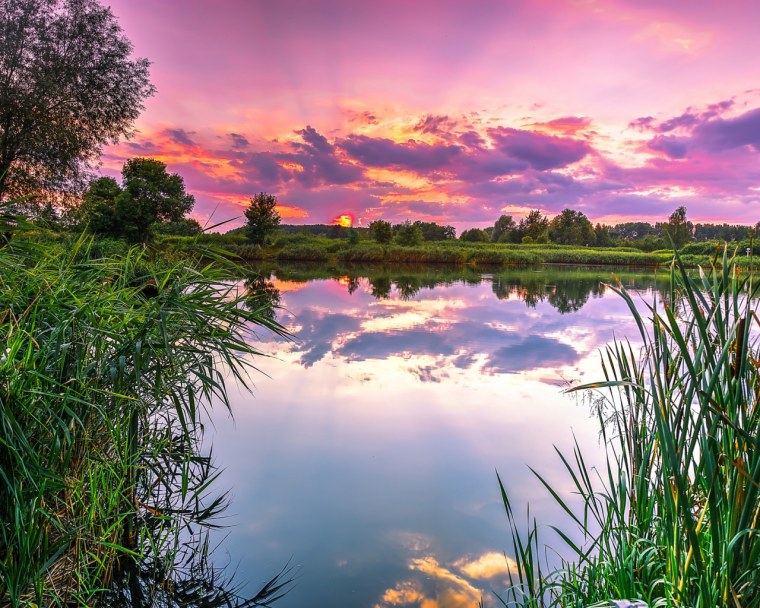 Пейзажи природы