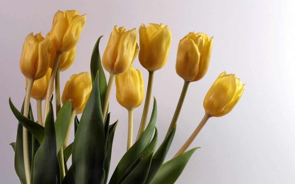 Желтая тюль