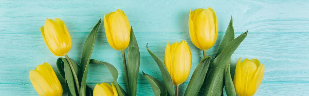 Цветы желтые тюльпаны