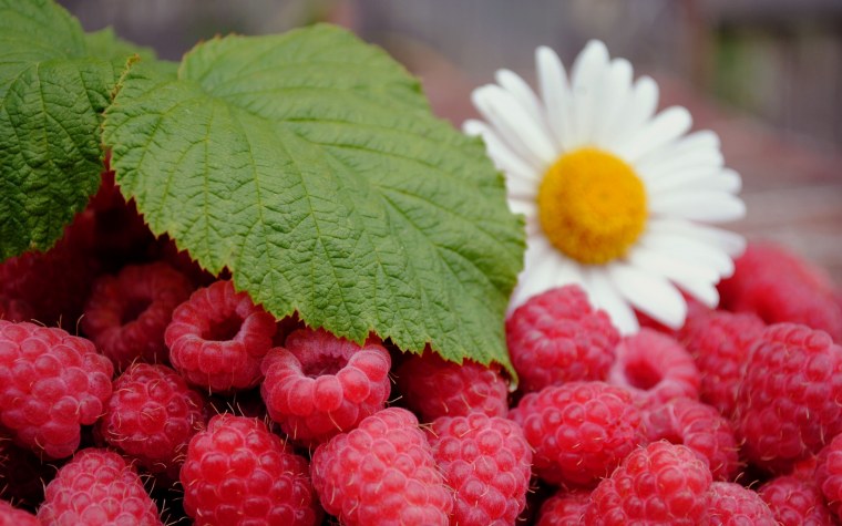 Заставка лето