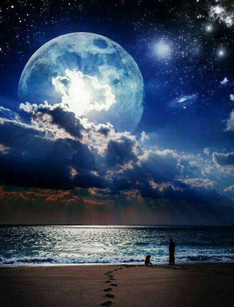 Лунная ночь