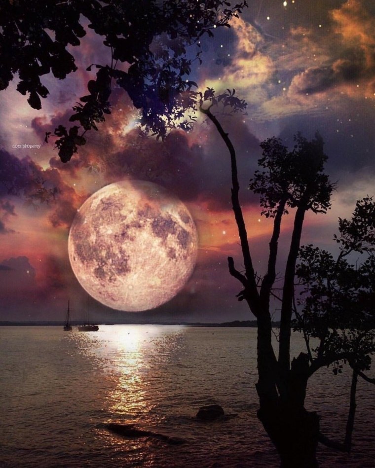 Ночное небо море