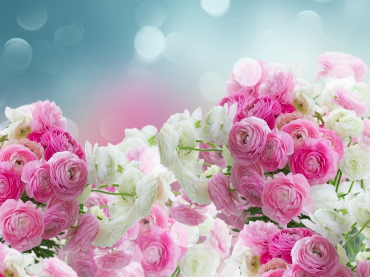 Розовые цветы