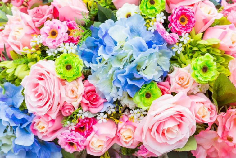 Красивые цветочки