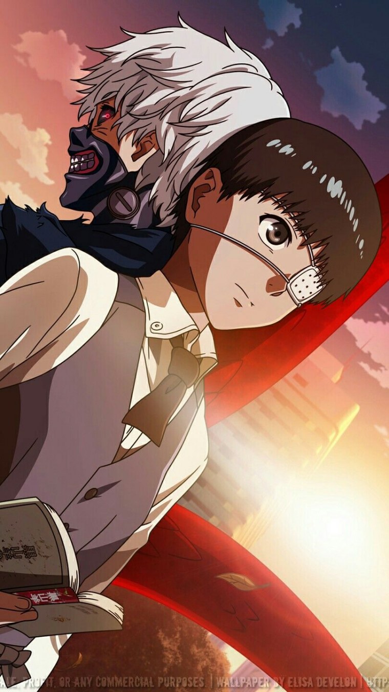 Аниме Тольский гуль 1 сезон