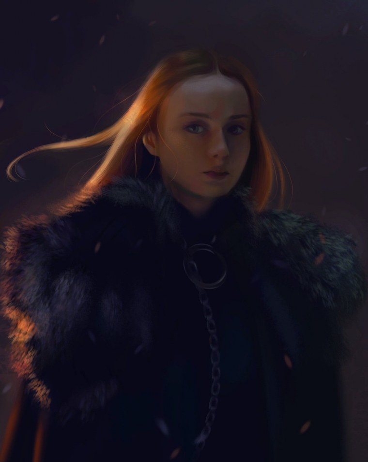 Санса Старк арт книжная