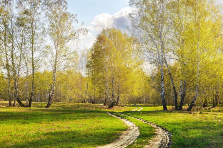 Поздняя Весна в России