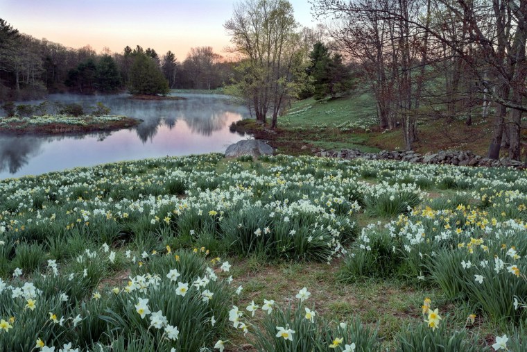 Природа Подмосковья