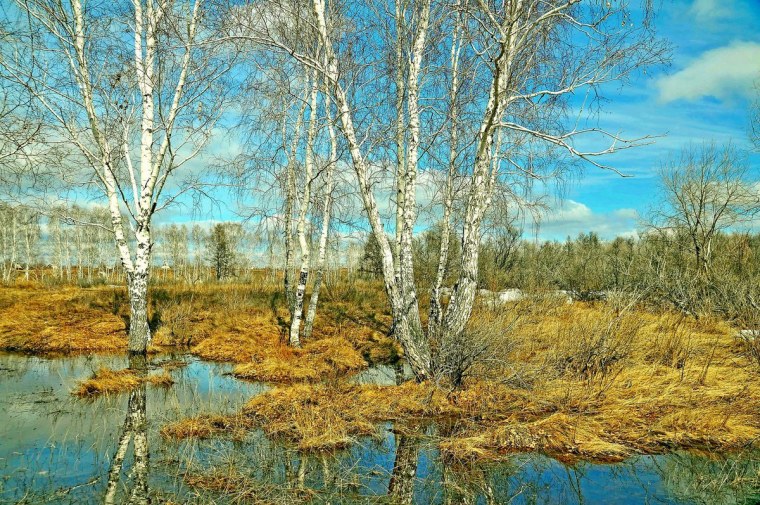 Весна в России