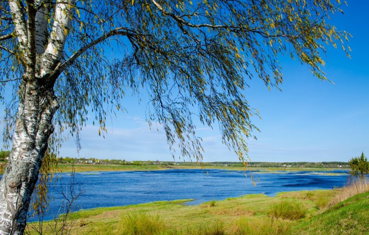 Ранняя Весна