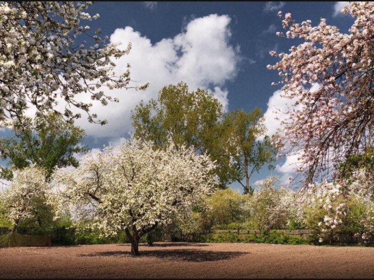 Река Печора фотопейзажи