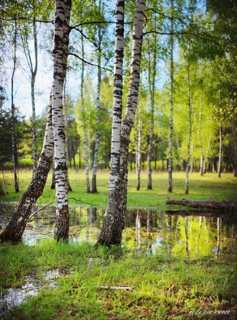 Ранняя Весна