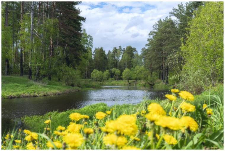 Ямало-Ненецкий автономный округ лето