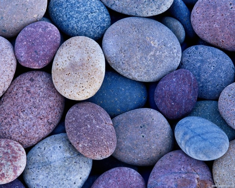 Телевизор Sharp LC-24chf4012e 23.6" (2017)