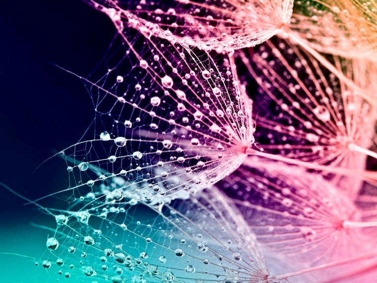 Фотообои телефон