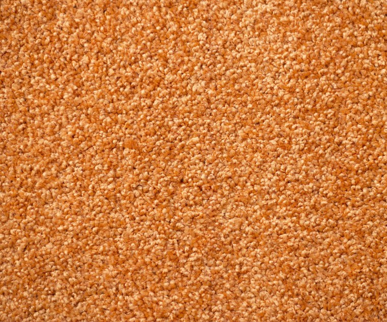 Ковровое покрытие Технолайн Флорт Экспо