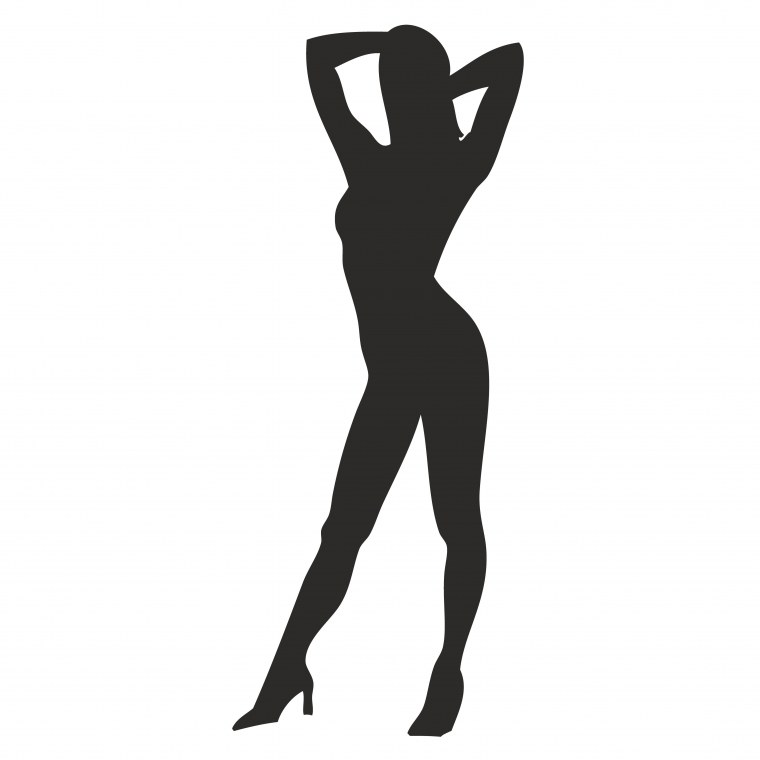 Женский силуэт