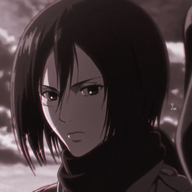 Mikasa атака титанов