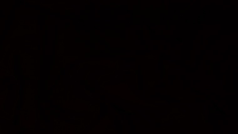 Сплошной черный