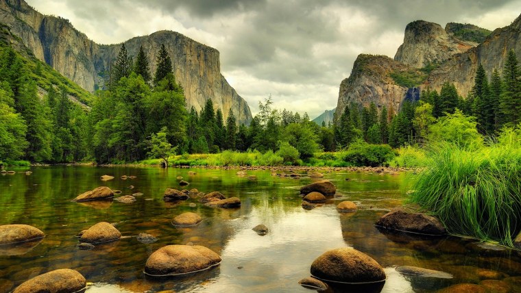 Йосемити каменный лес