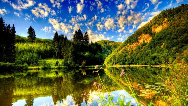 Летний пейзаж