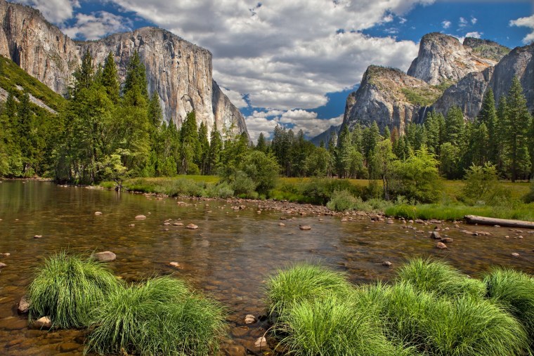 Горы лес река