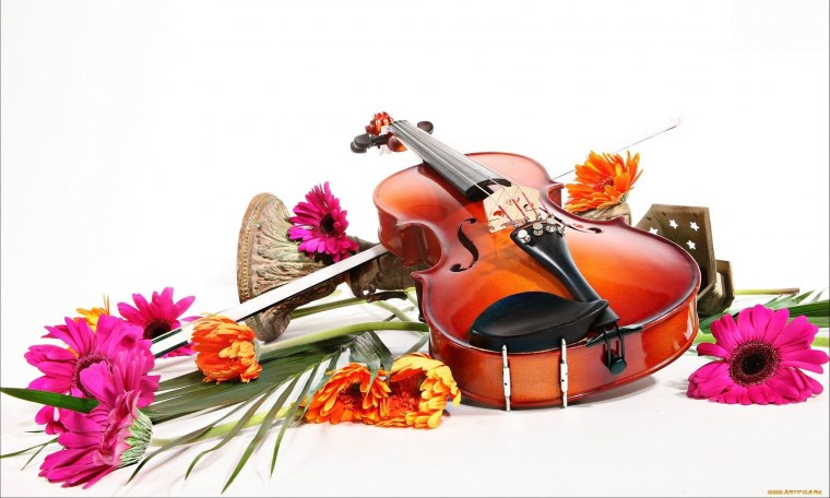 Музыкальные инструменты с цветами