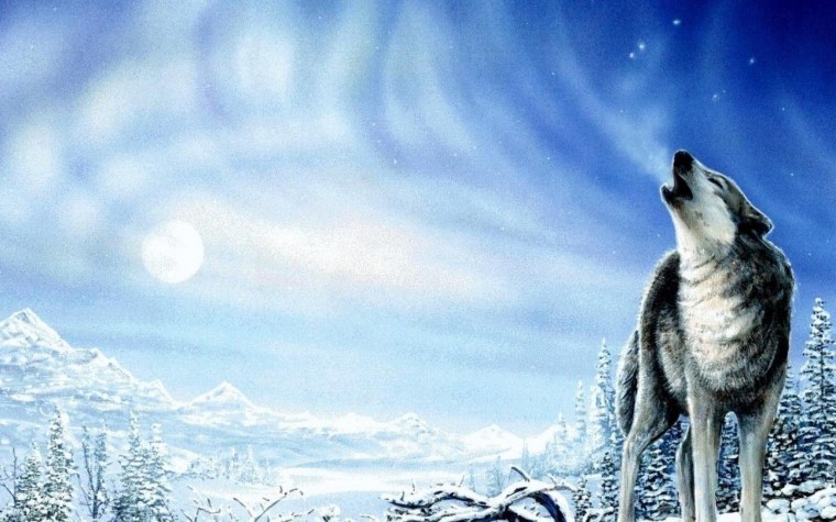 Волк на зимнем фоне