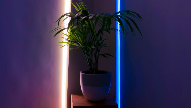 Фон с подсветкой