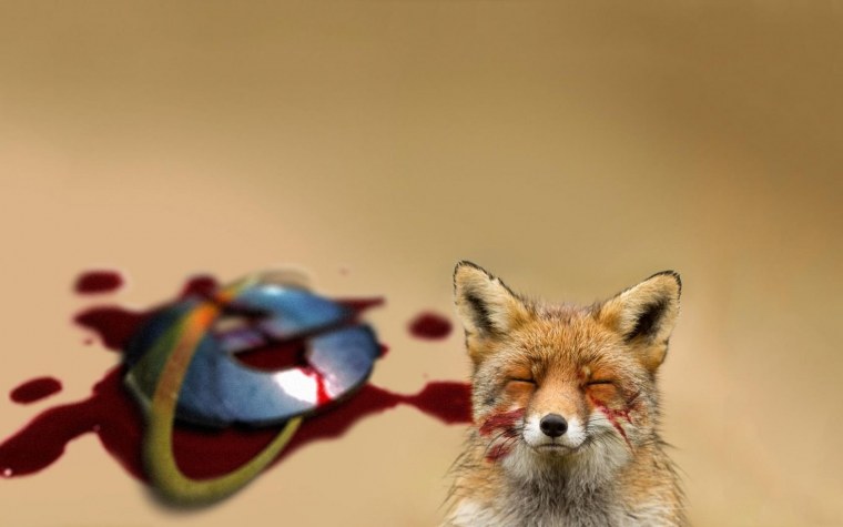 Красивые обои с лисой