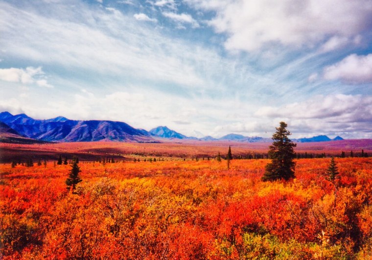 Верхняя тундра