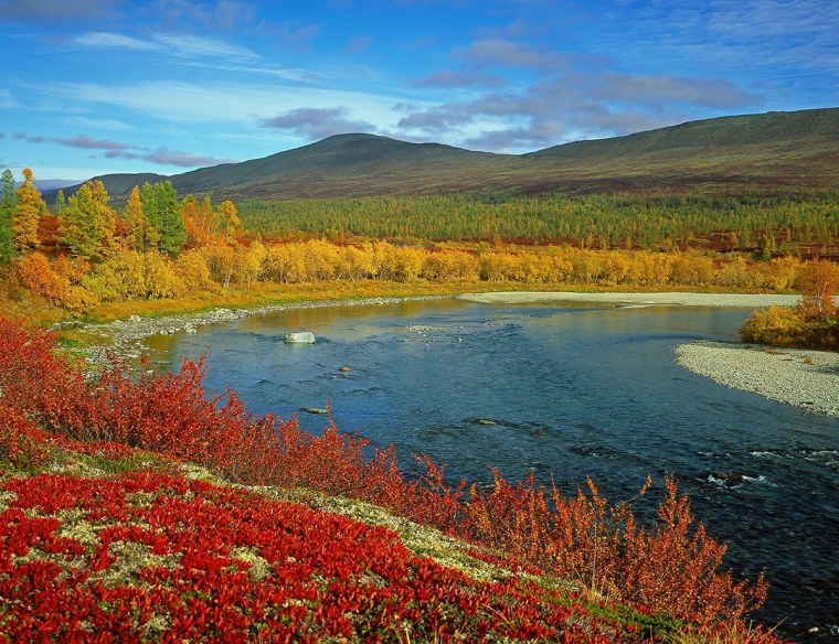 Салехард тундра