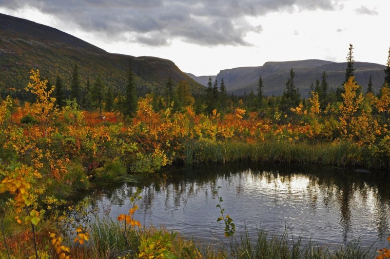Тундра Кольского полуострова