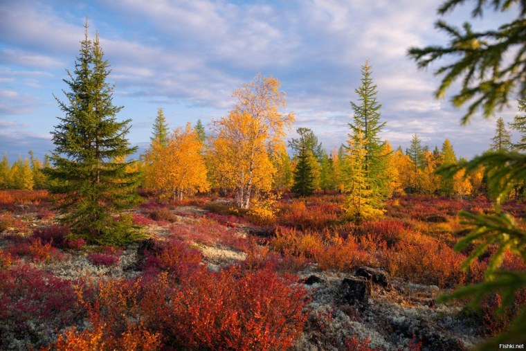 Кольский полуостров Хибины тундры