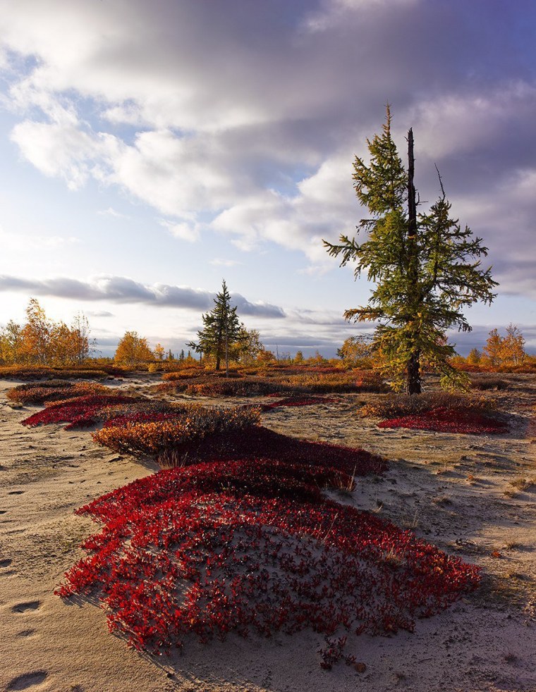 Хибины осень Кировск