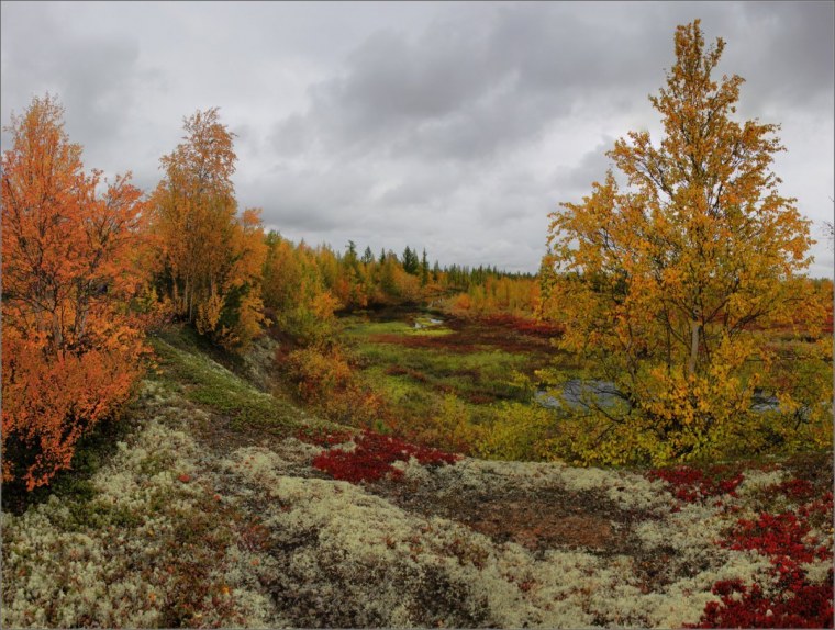 Кольский полуостров осенью