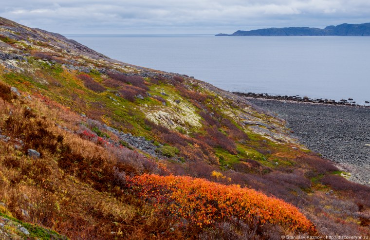 Лесотундра Ямала