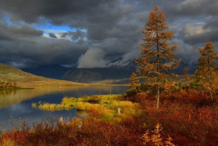 Тундра Магаданской области
