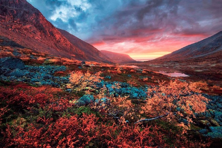 Новый Уренгой тундра