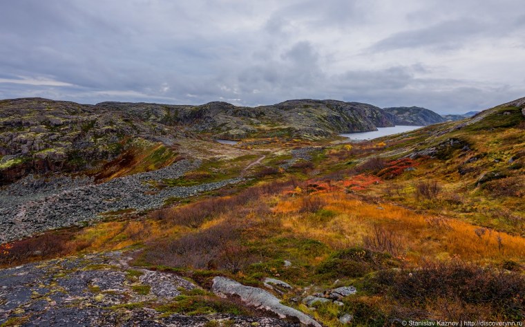 Тундра Мурманск Териберка
