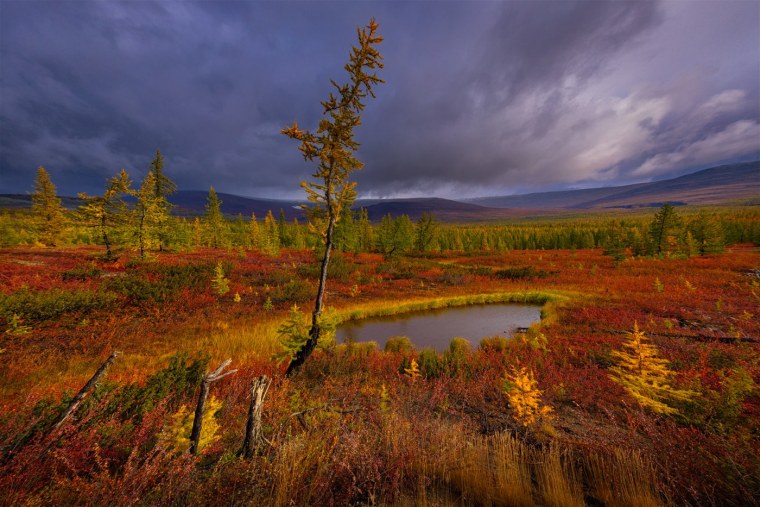 Национальный парк Денали