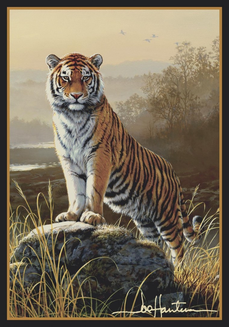 Тигер джунгли портрет