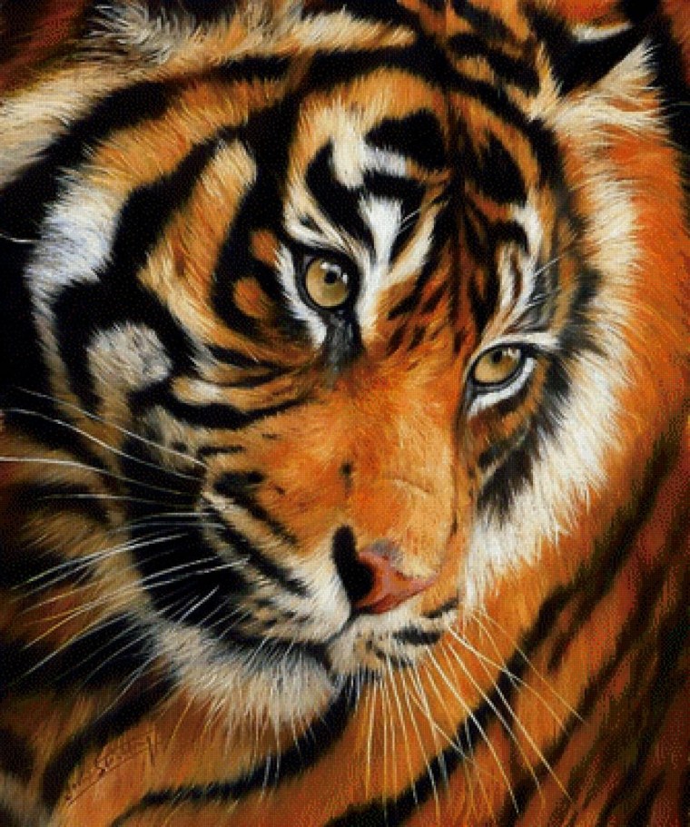 Картина по номерам Радужный тигр 40х50